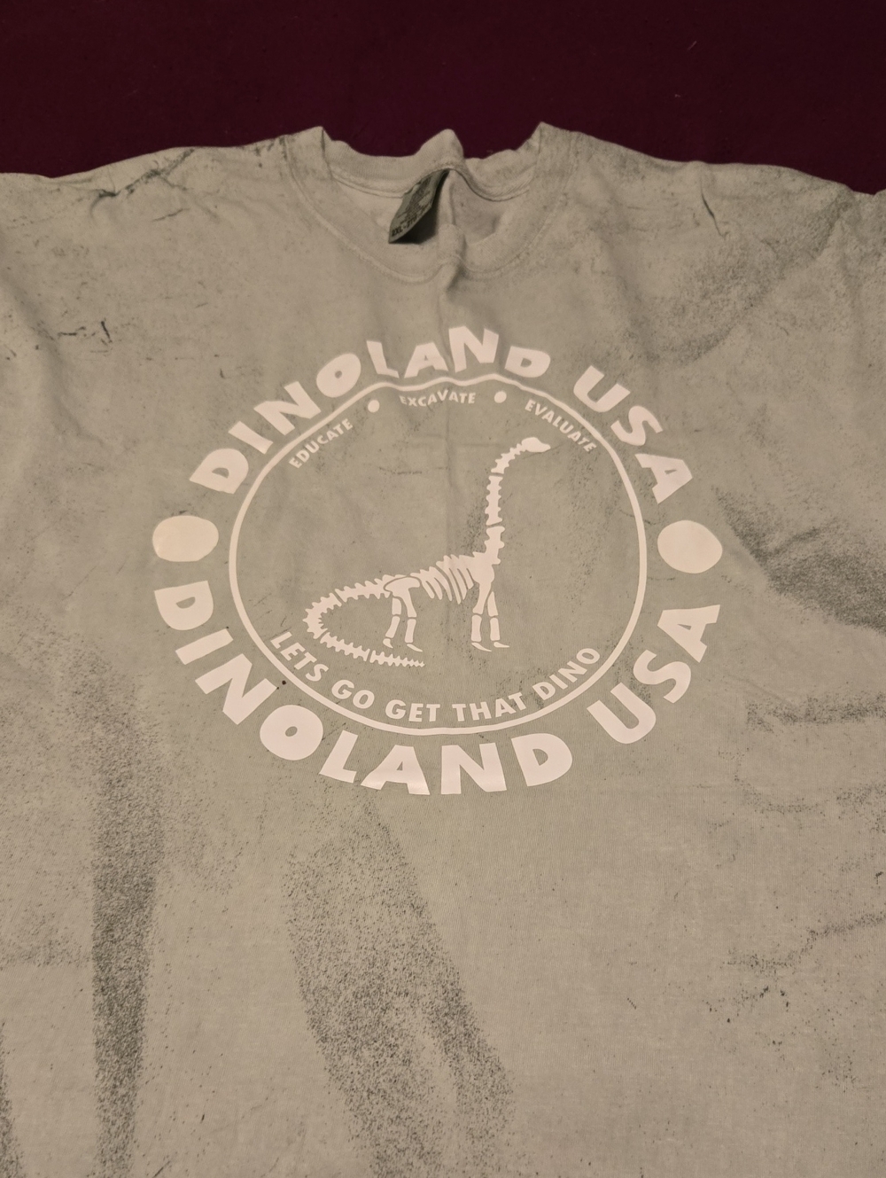 Disney Light Green Dinoland USA Graphic Short Sleeve Tee